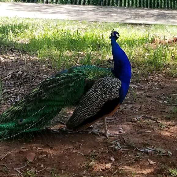 Meet your Posher, Vitalina - Picture 1 of 1